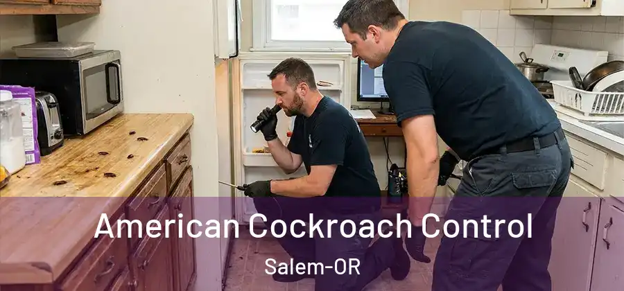  American Cockroach Control Salem-OR