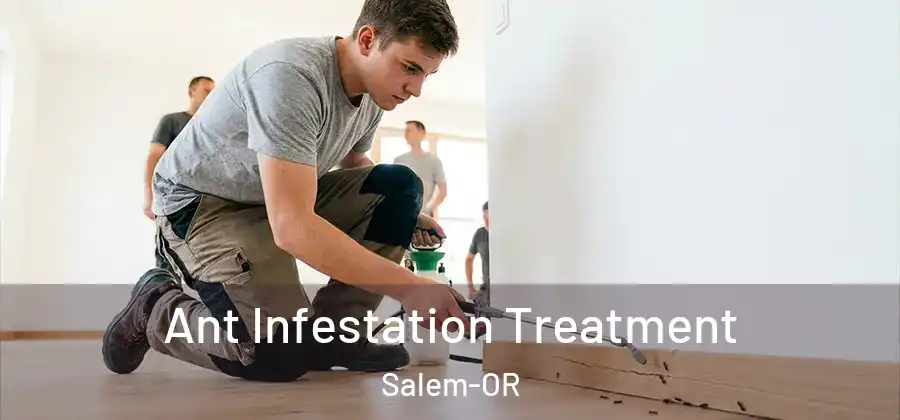  Ant Infestation Treatment Salem-OR