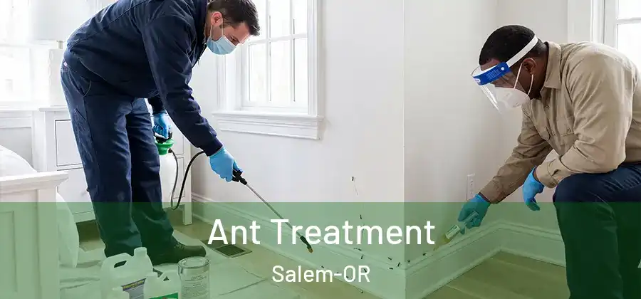  Ant Treatment Salem-OR