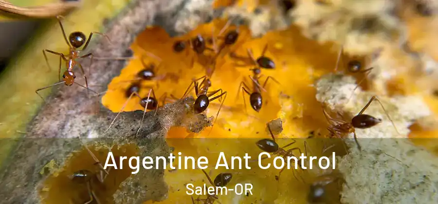  Argentine Ant Control Salem-OR