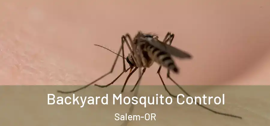 Backyard Mosquito Control Salem-OR
