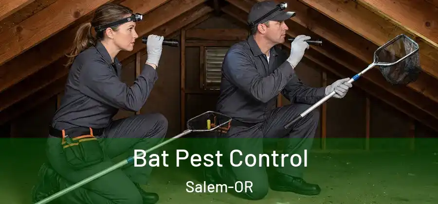  Bat Pest Control Salem-OR