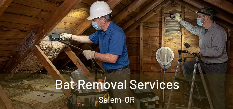  Bat Removal Services Salem-OR