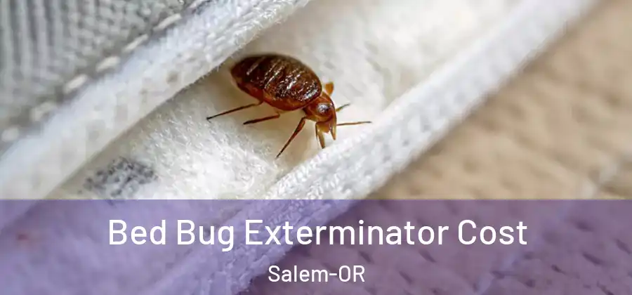  Bed Bug Exterminator Cost Salem-OR