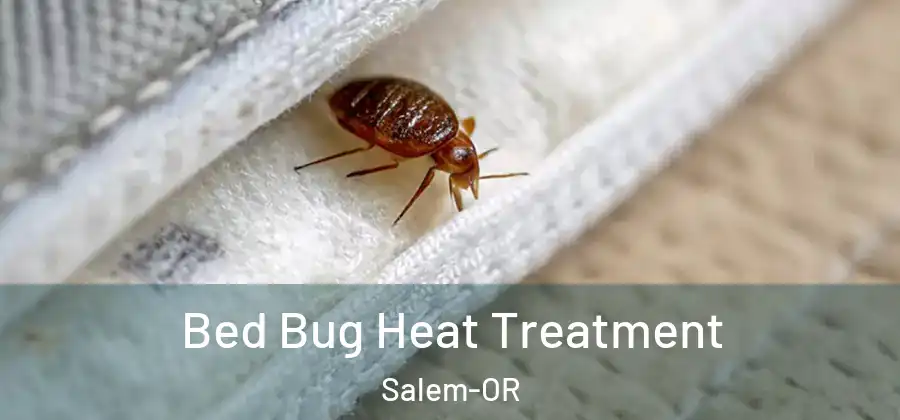  Bed Bug Heat Treatment Salem-OR