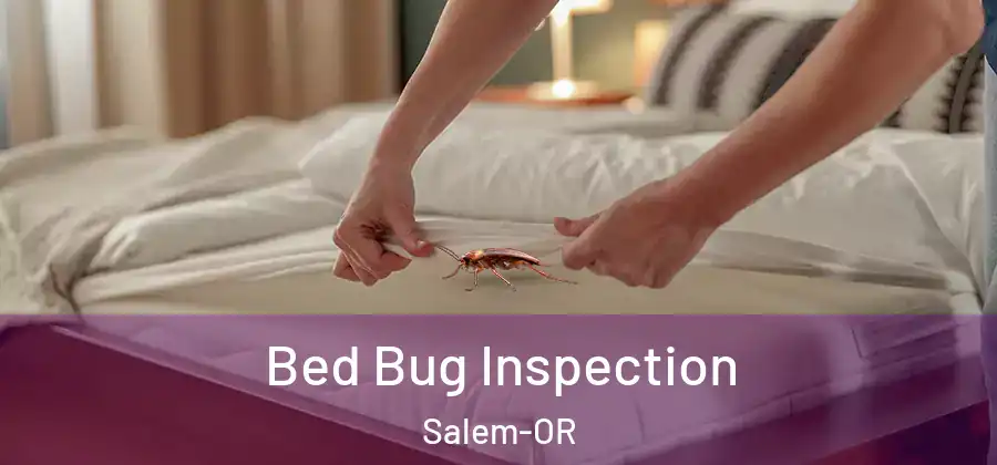  Bed Bug Inspection Salem-OR