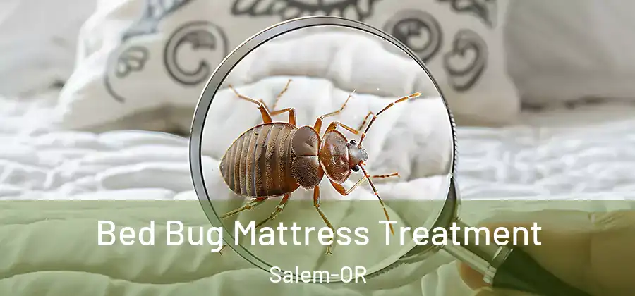  Bed Bug Mattress Treatment Salem-OR