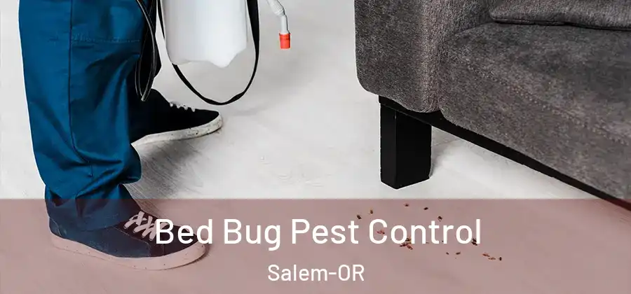  Bed Bug Pest Control Salem-OR