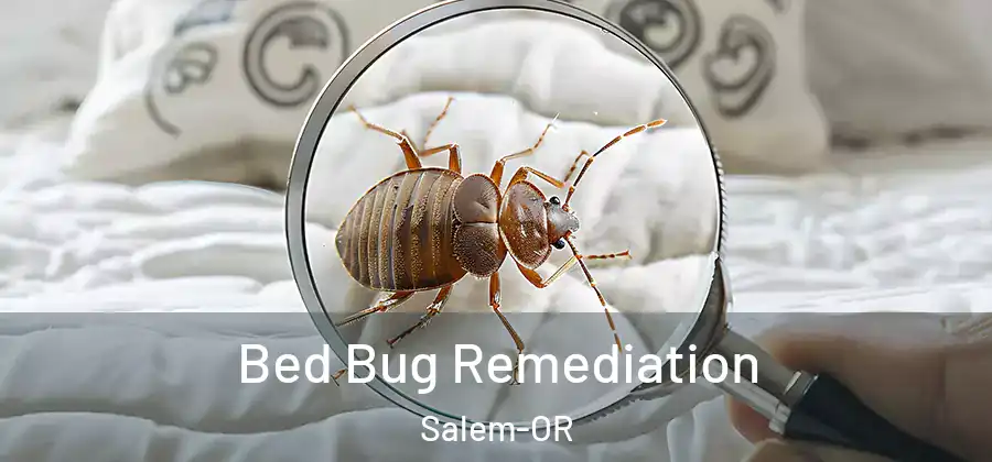  Bed Bug Remediation Salem-OR