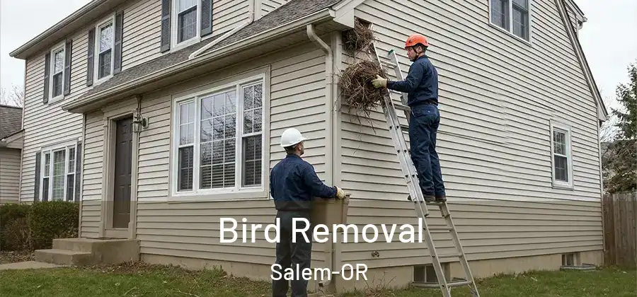  Bird Removal Salem-OR