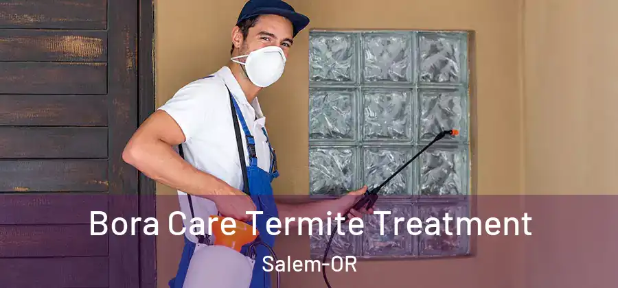  Bora Care Termite Treatment Salem-OR