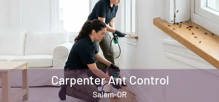  Carpenter Ant Control Salem-OR