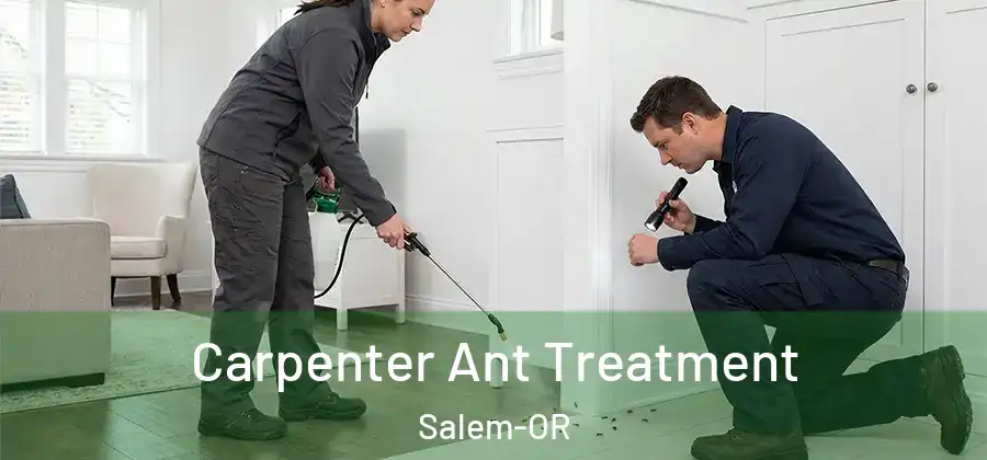  Carpenter Ant Treatment Salem-OR