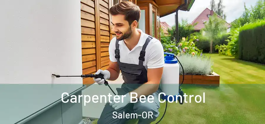  Carpenter Bee Control Salem-OR