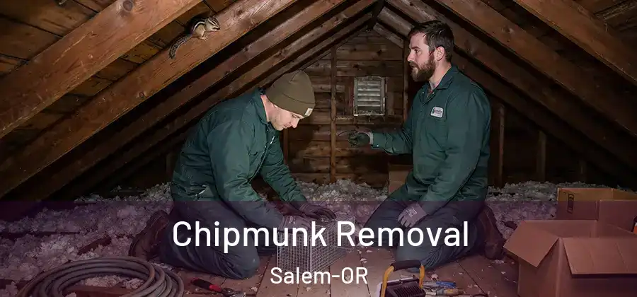  Chipmunk Removal Salem-OR