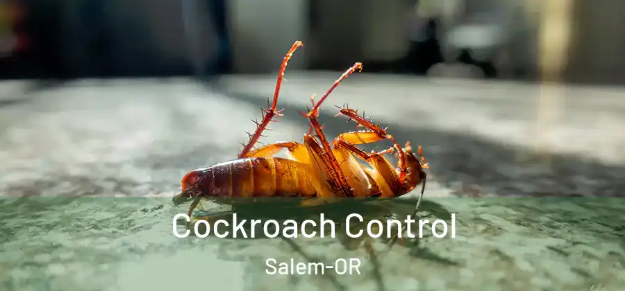  Cockroach Control Salem-OR