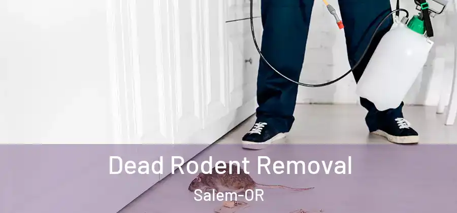 Dead Rodent Removal Salem-OR