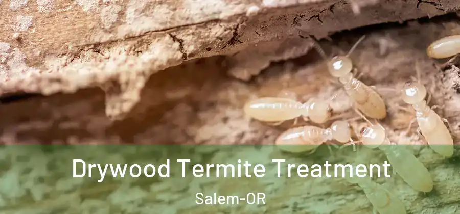  Drywood Termite Treatment Salem-OR