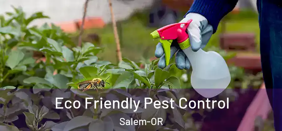  Eco Friendly Pest Control Salem-OR