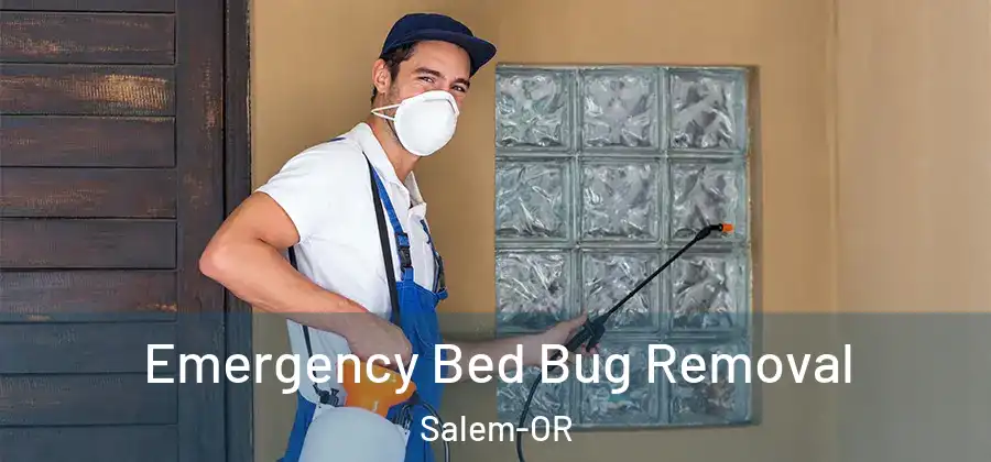  Emergency Bed Bug Removal Salem-OR