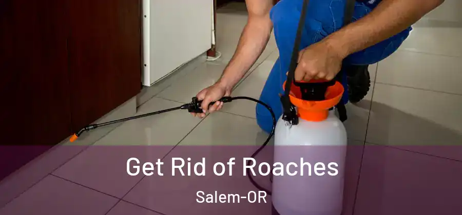  Get Rid of Roaches Salem-OR