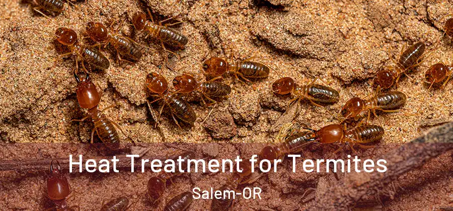 Heat Treatment for Termites Salem-OR