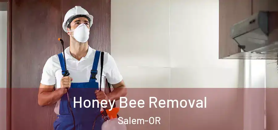  Honey Bee Removal Salem-OR