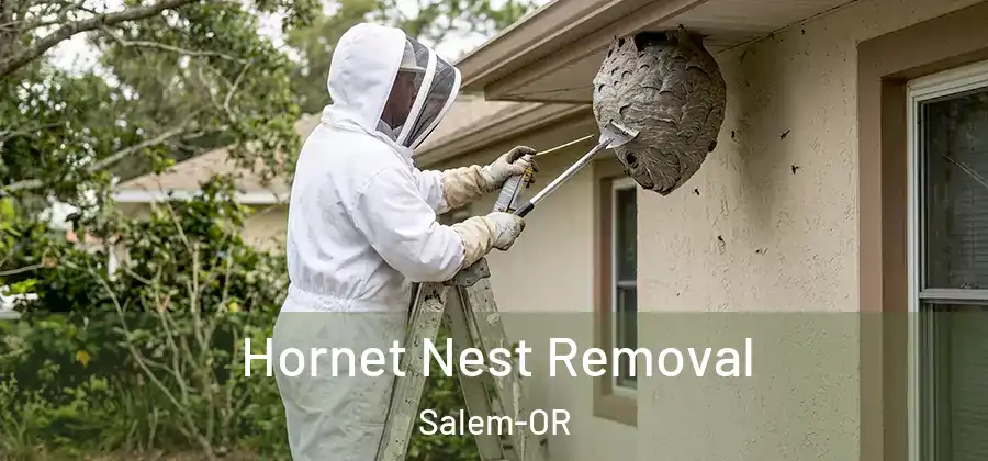  Hornet Nest Removal Salem-OR