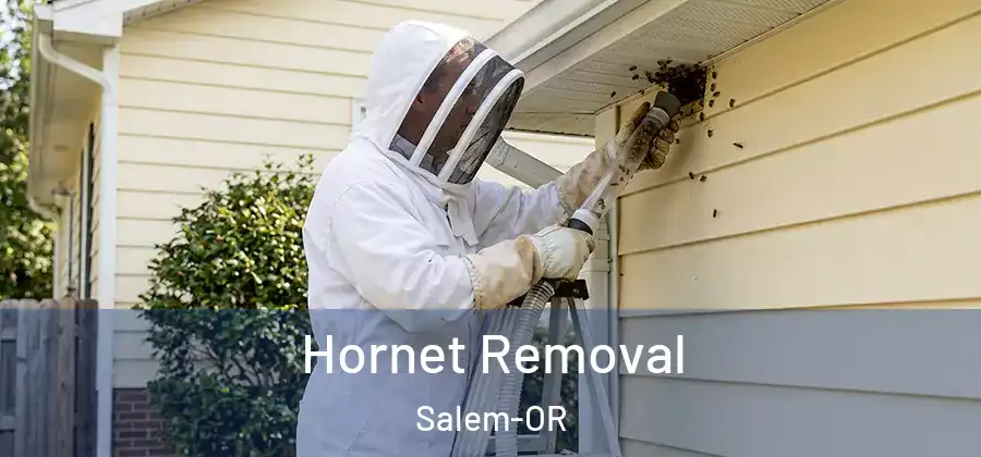  Hornet Removal Salem-OR