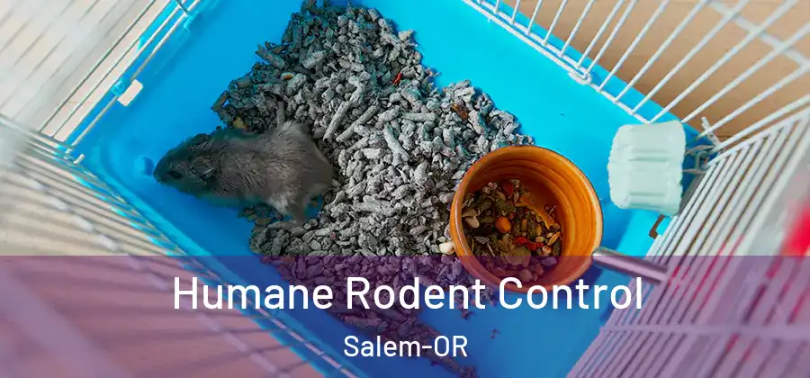  Humane Rodent Control Salem-OR