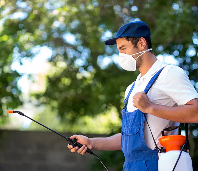 Your Trusted Flea and Tick Control in Salem, OR