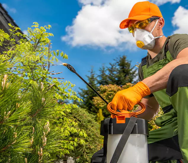 Your Mosquito Repellent Barrier Service in Salem, OR