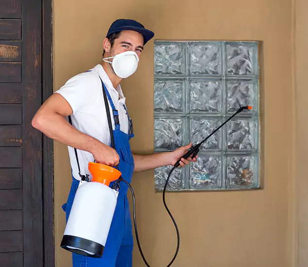 in Salem, OR Advanced Outdoor Pest Control Solutions by Salem Pest Control Pros