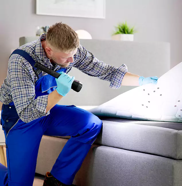 Why Choose Salem Pest Control Pros For Bed Bug Heat Treatment in Salem, OR?