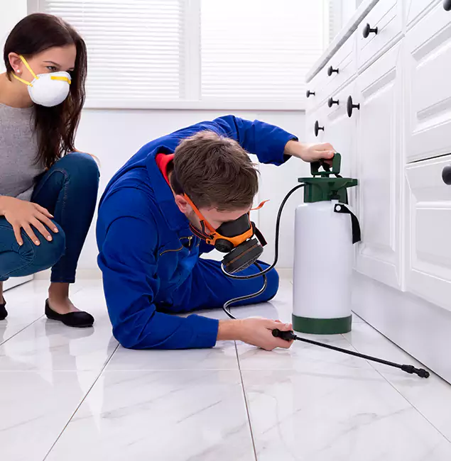 Why Salem, OR Homeowners Trust Salem Pest Control Pros for Roach Control?