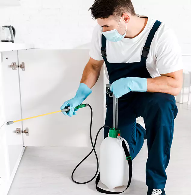 Why Choose Salem Pest Control Pros for Indoor Pest Control in Salem, OR?