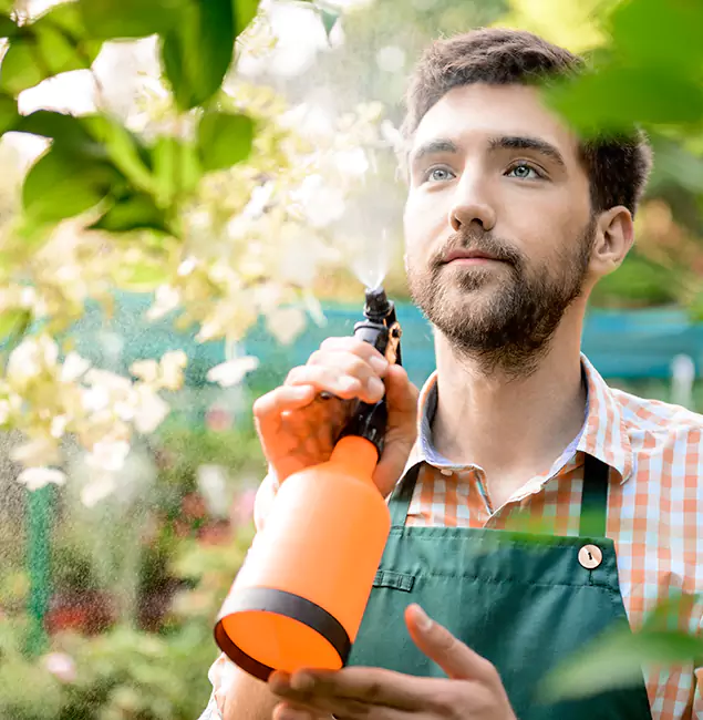 Why Salem Homeowners Call Salem Pest Control Pros for Mosquitoes in House?