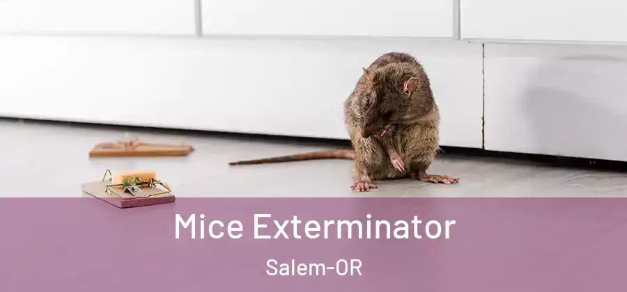  Mice Exterminator Salem-OR