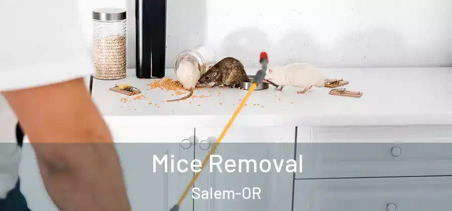  Mice Removal Salem-OR