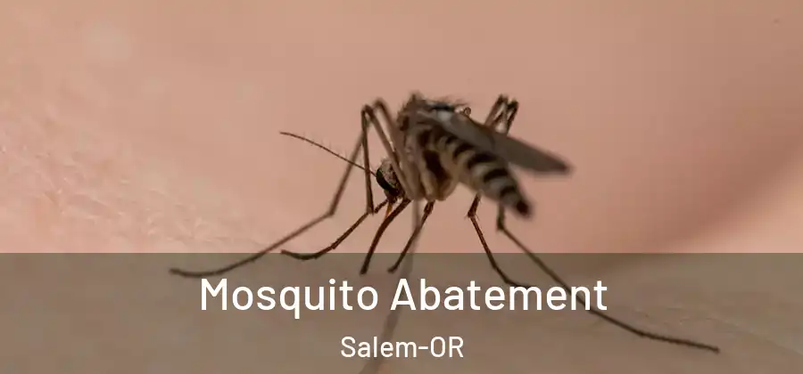  Mosquito Abatement Salem-OR