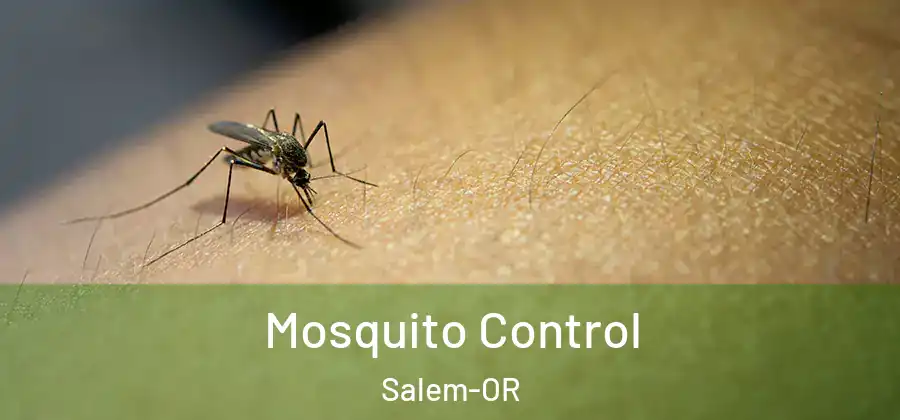  Mosquito Control Salem-OR