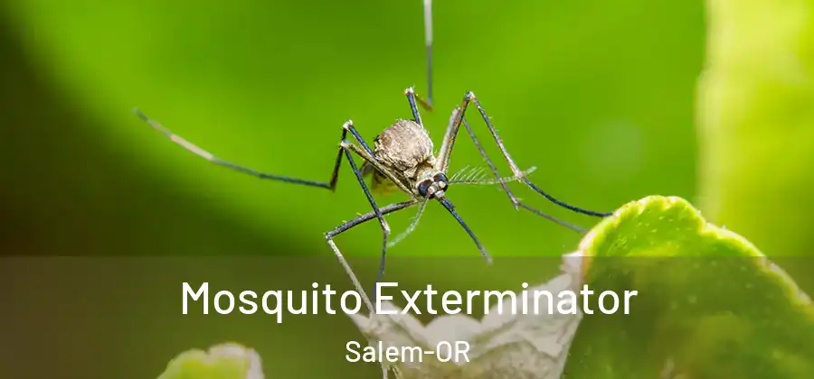  Mosquito Exterminator Salem-OR
