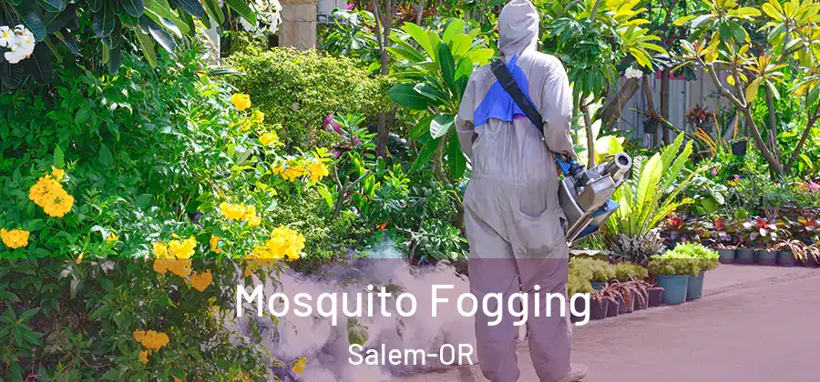  Mosquito Fogging Salem-OR