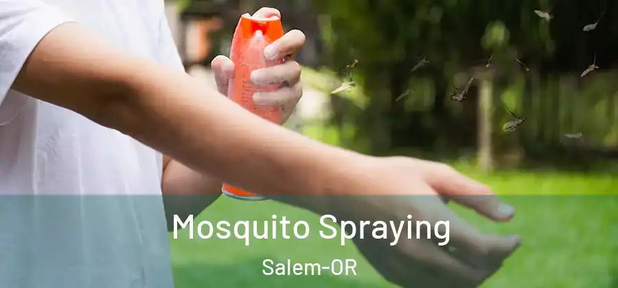  Mosquito Spraying Salem-OR