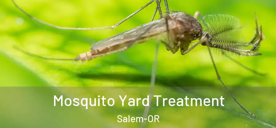  Mosquito Yard Treatment Salem-OR
