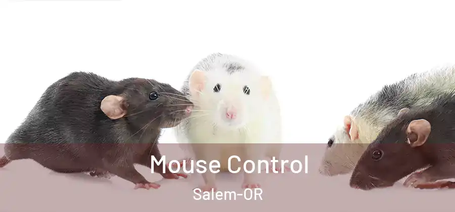  Mouse Control Salem-OR