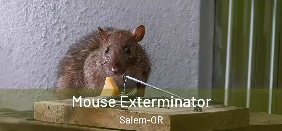  Mouse Exterminator Salem-OR