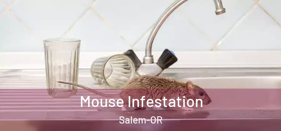  Mouse Infestation Salem-OR