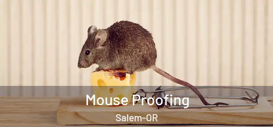  Mouse Proofing Salem-OR