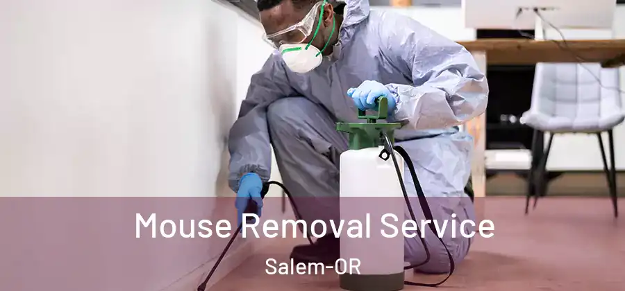  Mouse Removal Service Salem-OR